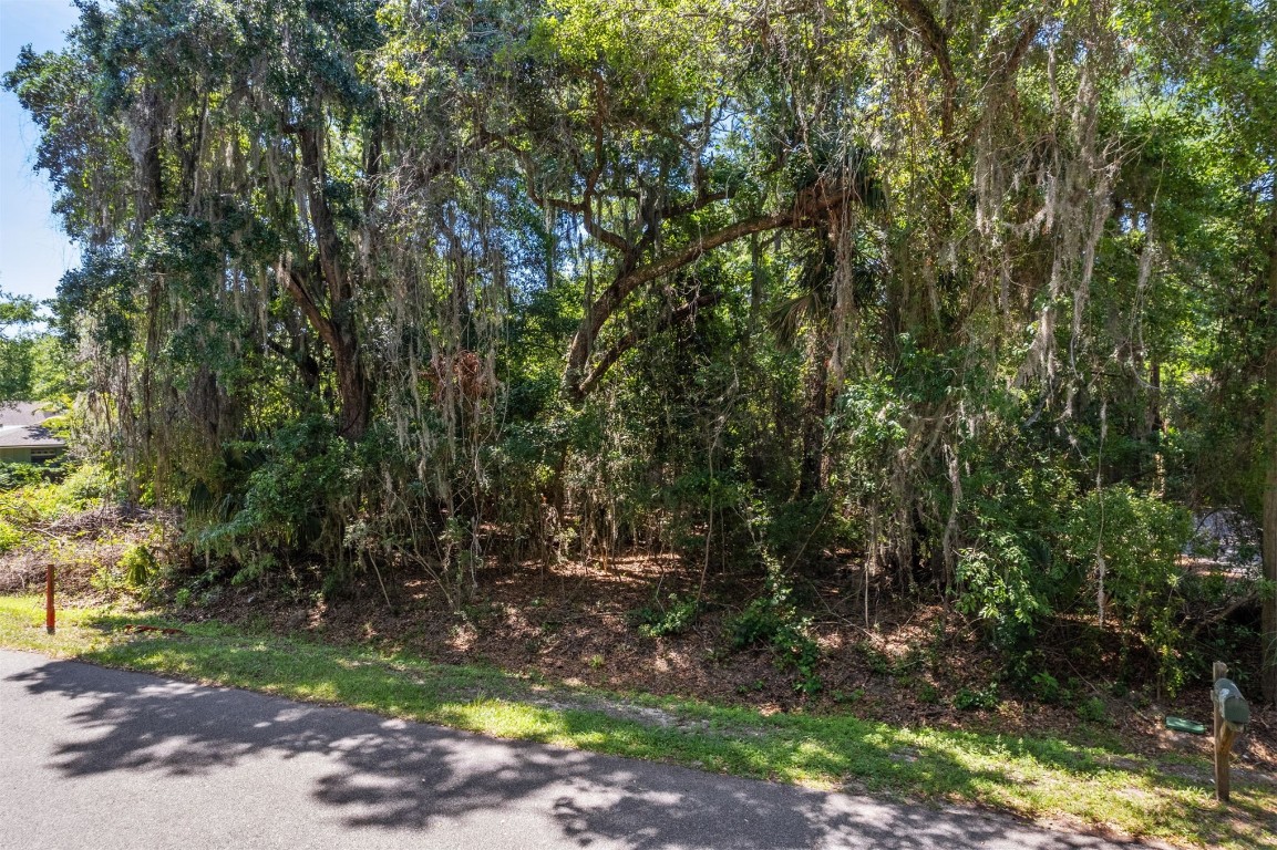 Philips Manor Road, Fernandina Beach, Florida image 26