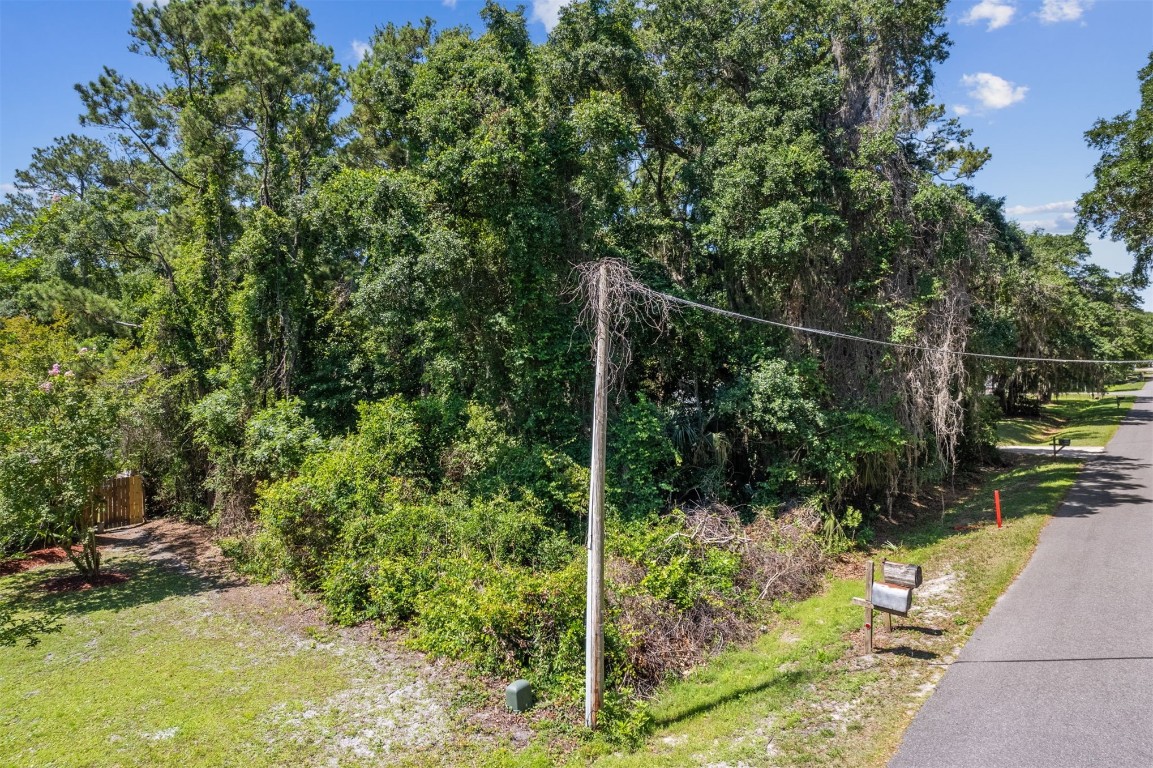 Philips Manor Road, Fernandina Beach, Florida image 25