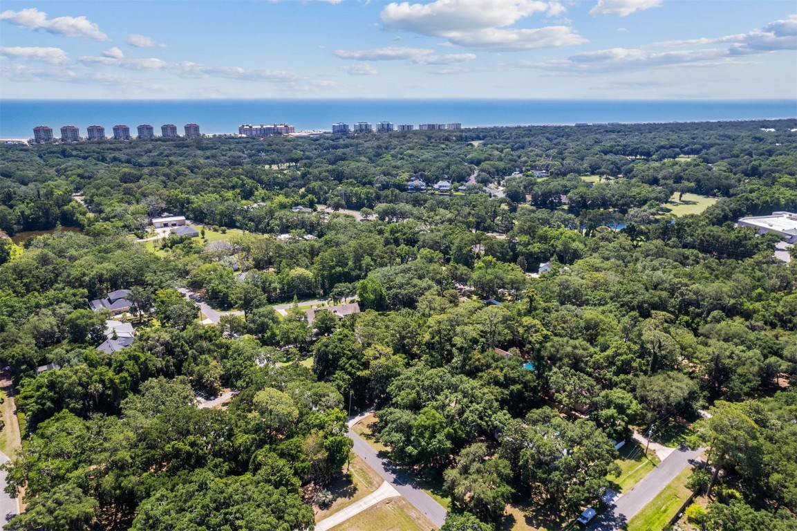 Philips Manor Road, Fernandina Beach, Florida image 10