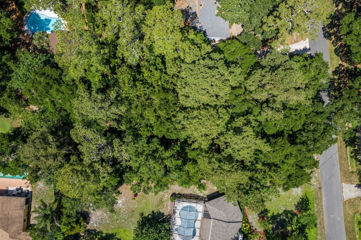 Philips Manor Road, Fernandina Beach, Florida image 3
