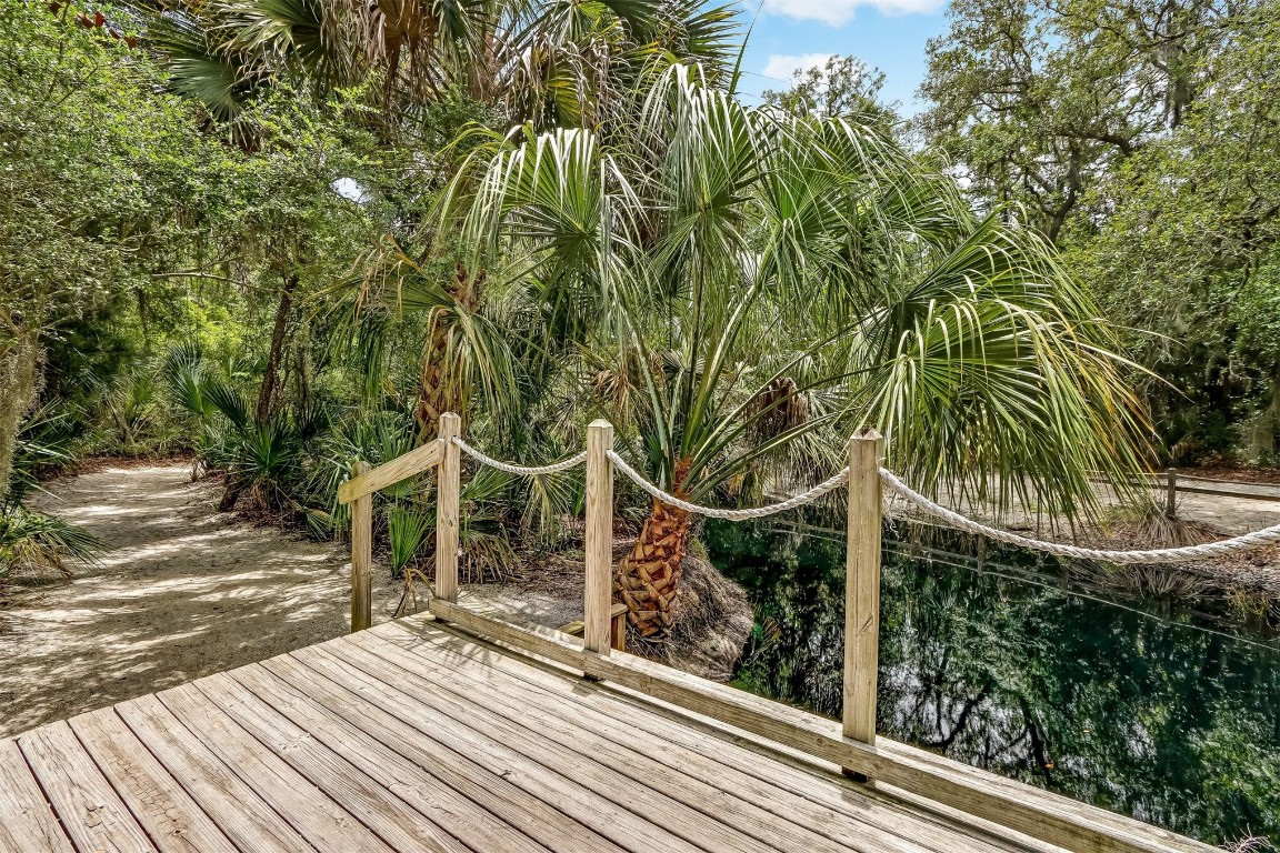 1651/1652 Sea Dunes Place #1637, Fernandina Beach, New Mexico image 47