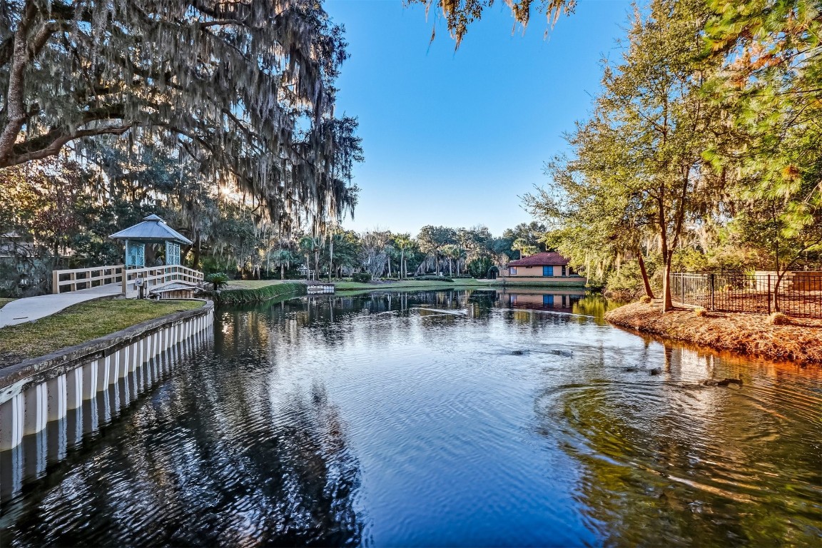 96634 Soap Creek Drive, Fernandina Beach, Florida image 13