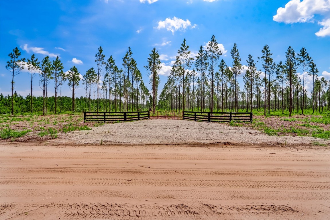 Lot 10 Georgia Street, Hilliard, Florida image 4