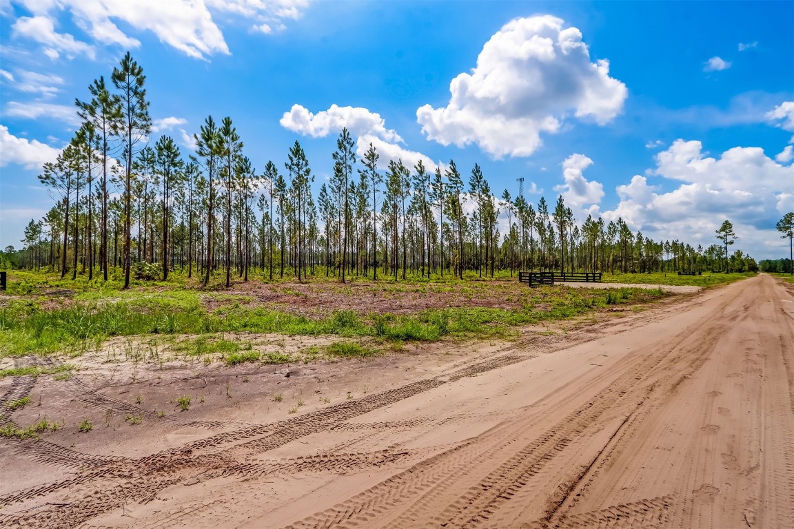 Lot 10 Georgia Street, Hilliard, Florida image 8