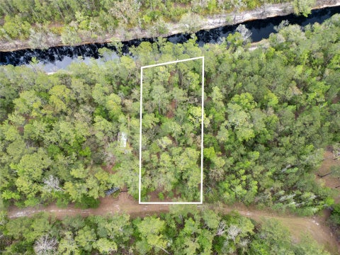 Vacant Land For Sale - SE 67th Place<br/> Hamilton County, White Springs, FL 32096