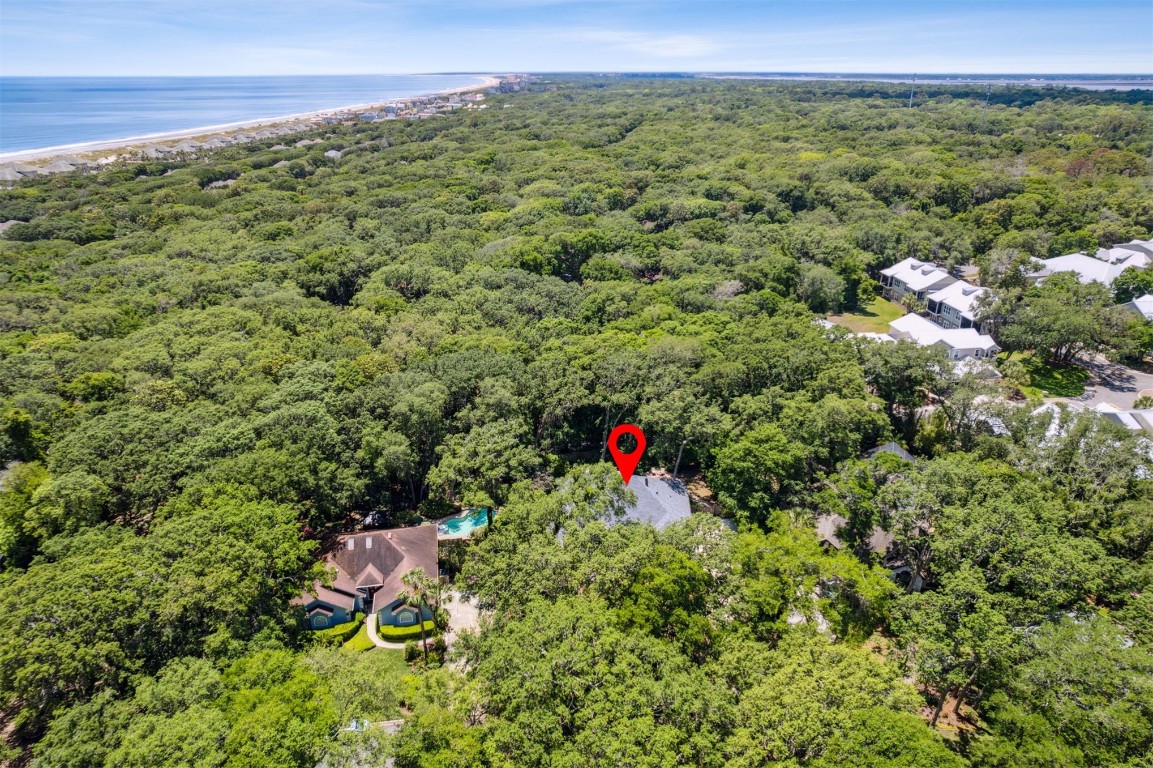 1793 Arbor Drive, Fernandina Beach, Florida image 47