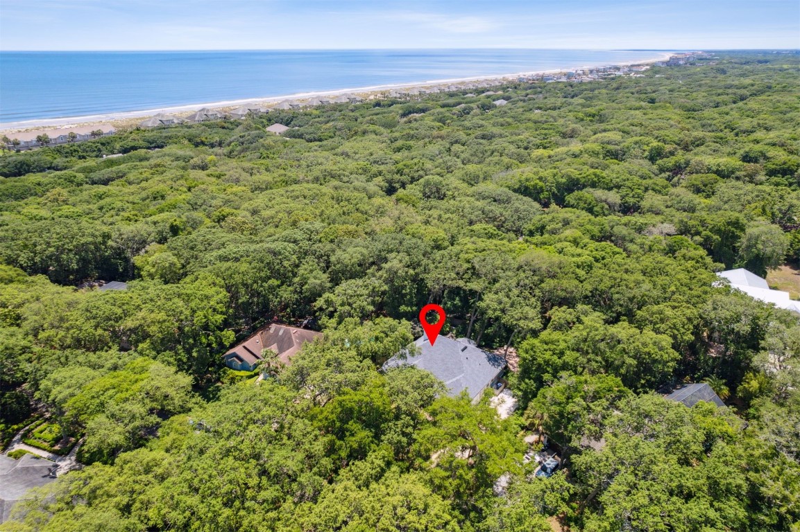 1793 Arbor Drive, Fernandina Beach, Florida image 48