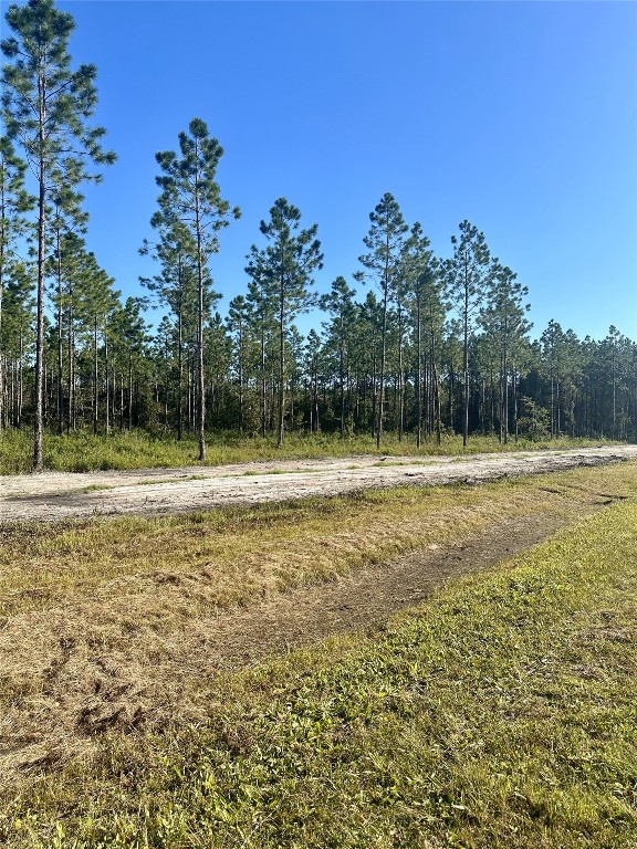 Lot 15 Andrews Road, Hilliard, Florida image 19