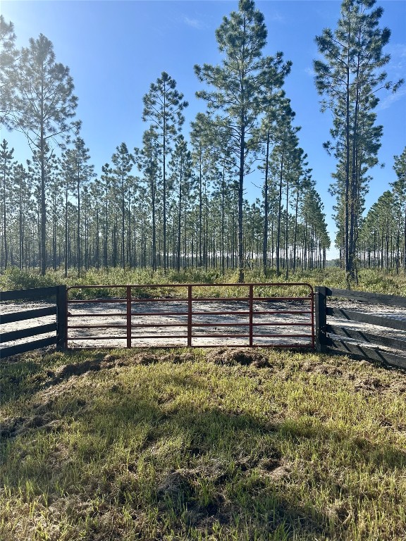 Lot 15 Andrews Road, Hilliard, Florida image 13