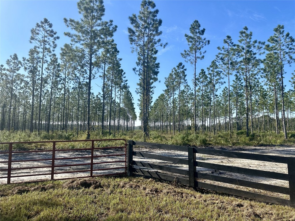 Lot 15 Andrews Road, Hilliard, Florida image 11