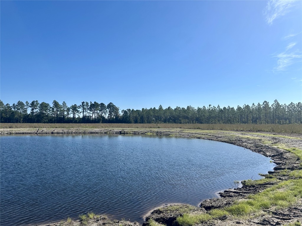 Lot 15 Andrews Road, Hilliard, Florida image 3