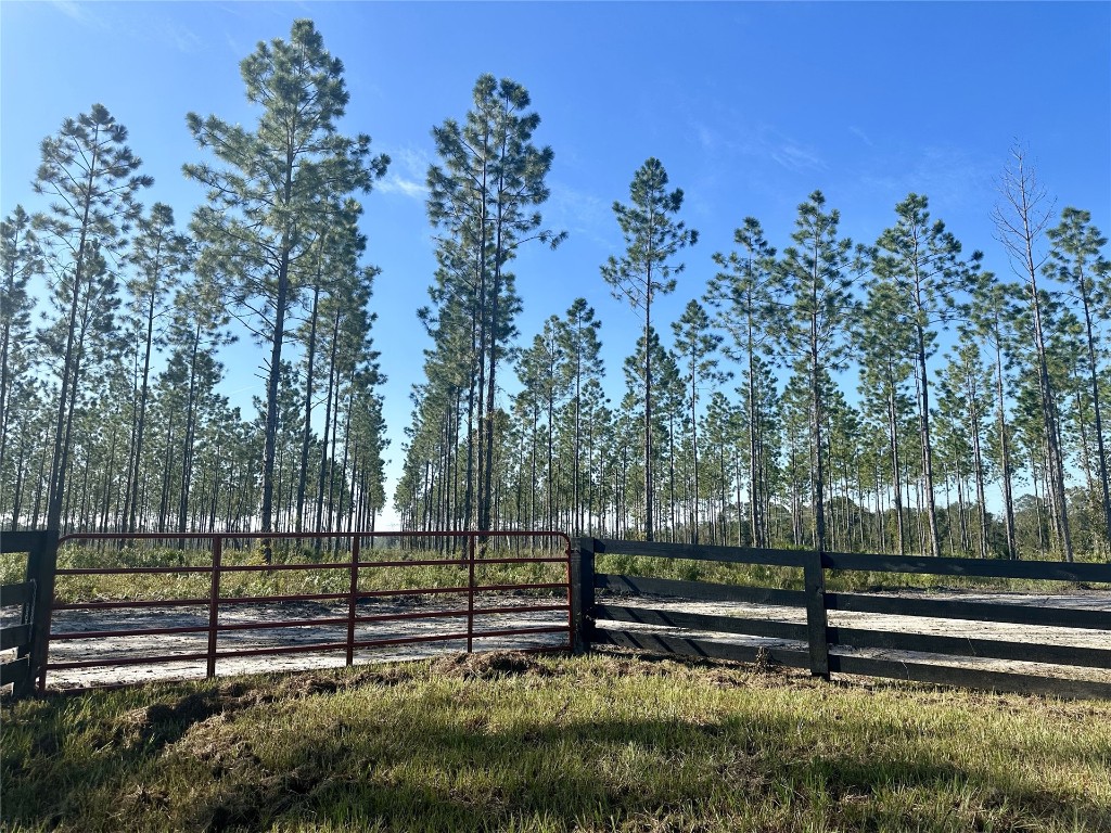 Lot 15 Andrews Road, Hilliard, Florida image 10