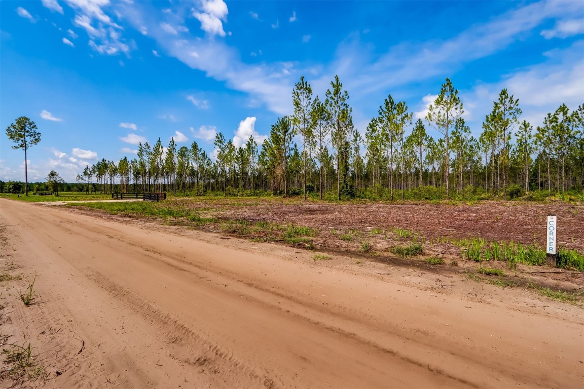 Lot 4 Georgia Street, Hilliard, Florida image 6