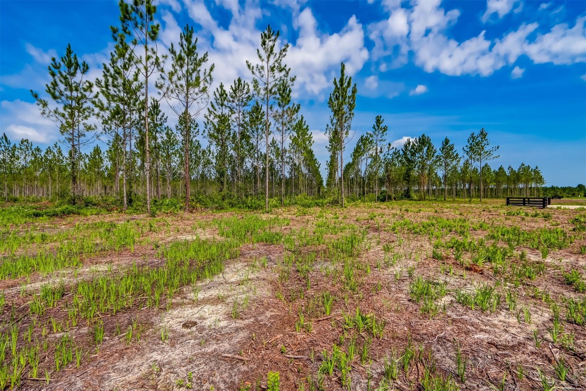 Lot 4 Georgia Street, Hilliard, Florida image 8