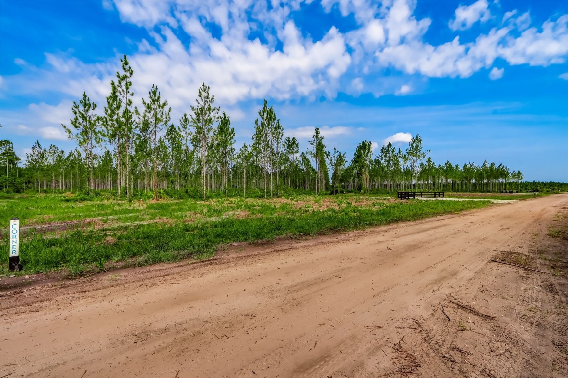 Lot 4 Georgia Street, Hilliard, Florida image 7