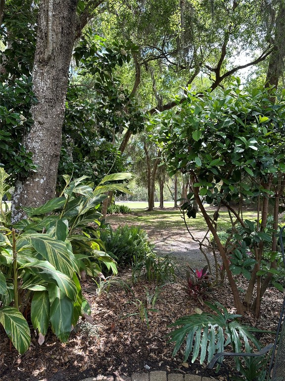 3323 Sea Marsh Road #3323, Fernandina Beach, Florida image 30