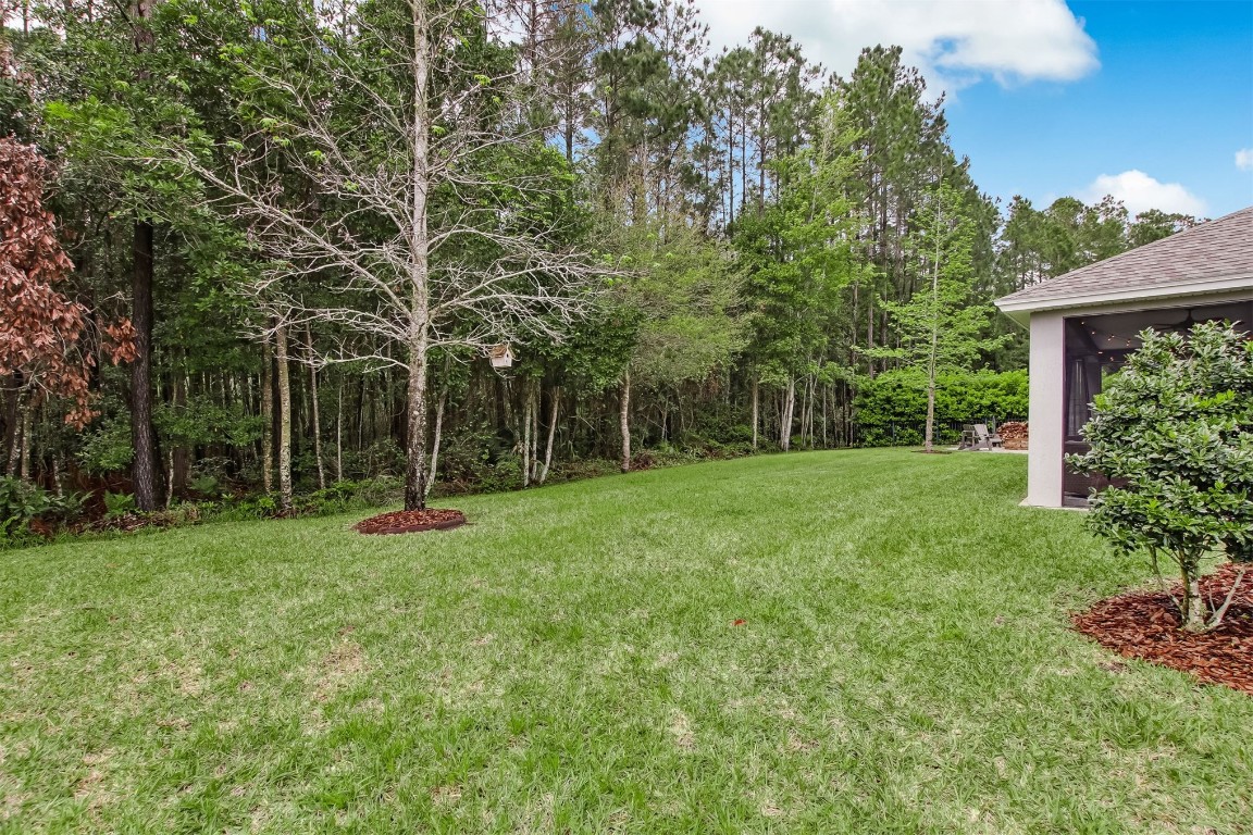 85387 Cherry Creek Drive, Fernandina Beach, New Mexico image 46