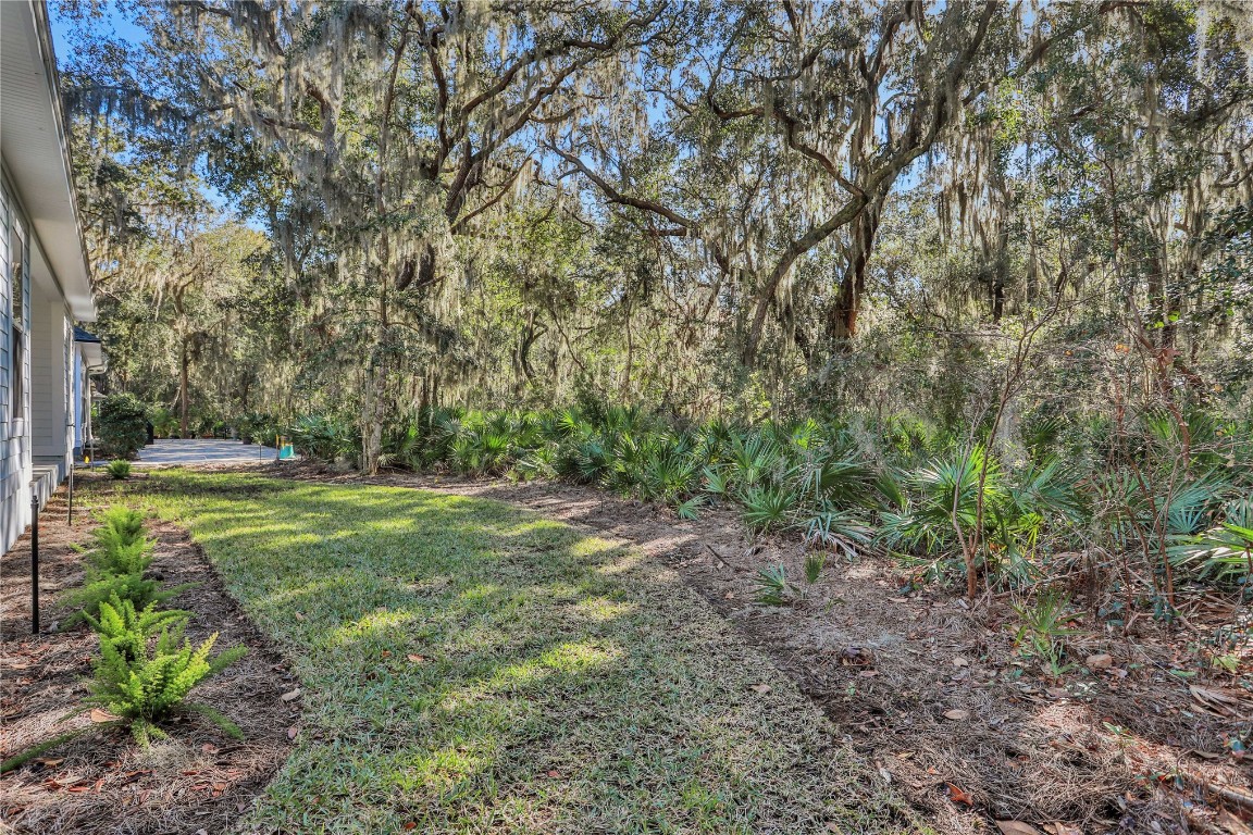 96056 Soap Creek Drive, Fernandina Beach, Florida image 48