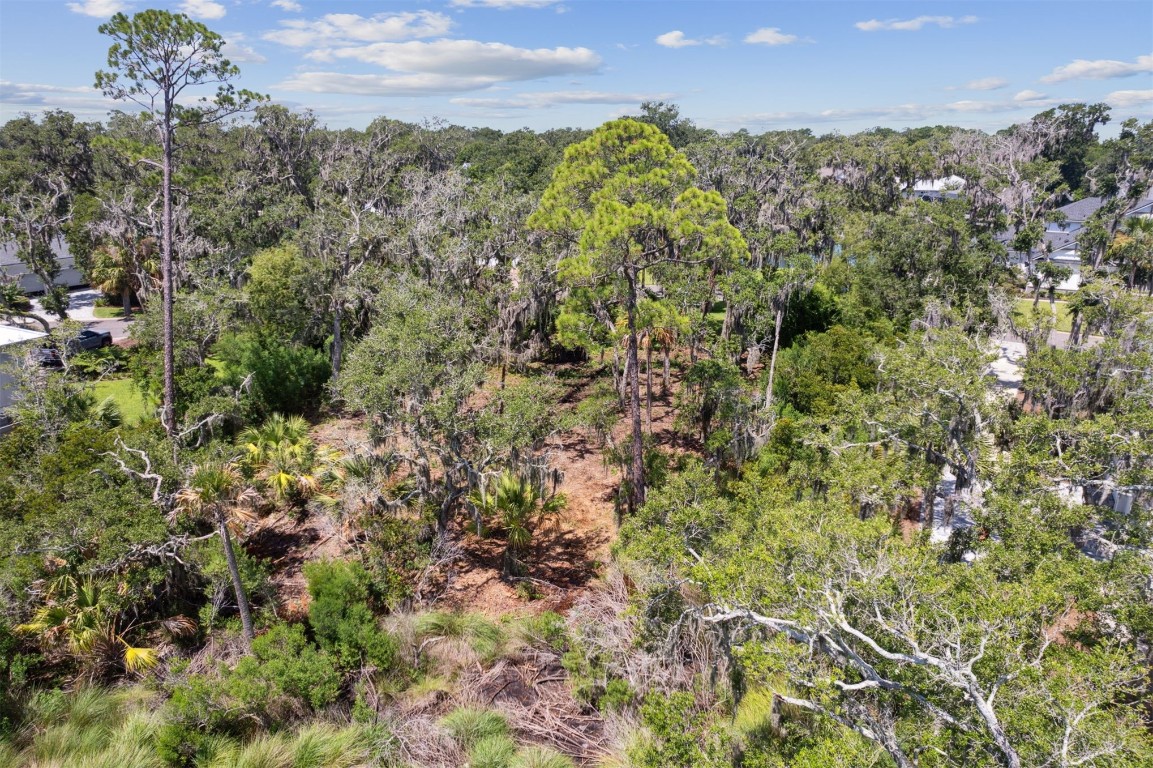 96524 Soap Creek Drive, Fernandina Beach, Florida image 27