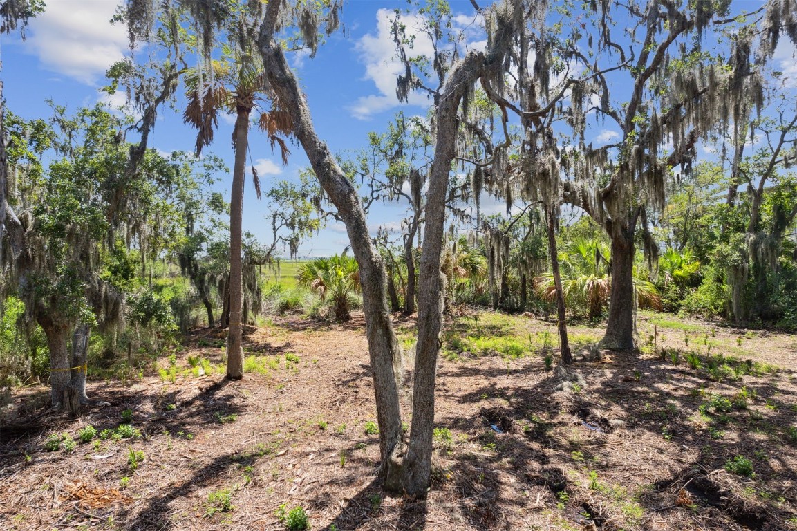 96524 Soap Creek Drive, Fernandina Beach, Florida image 24