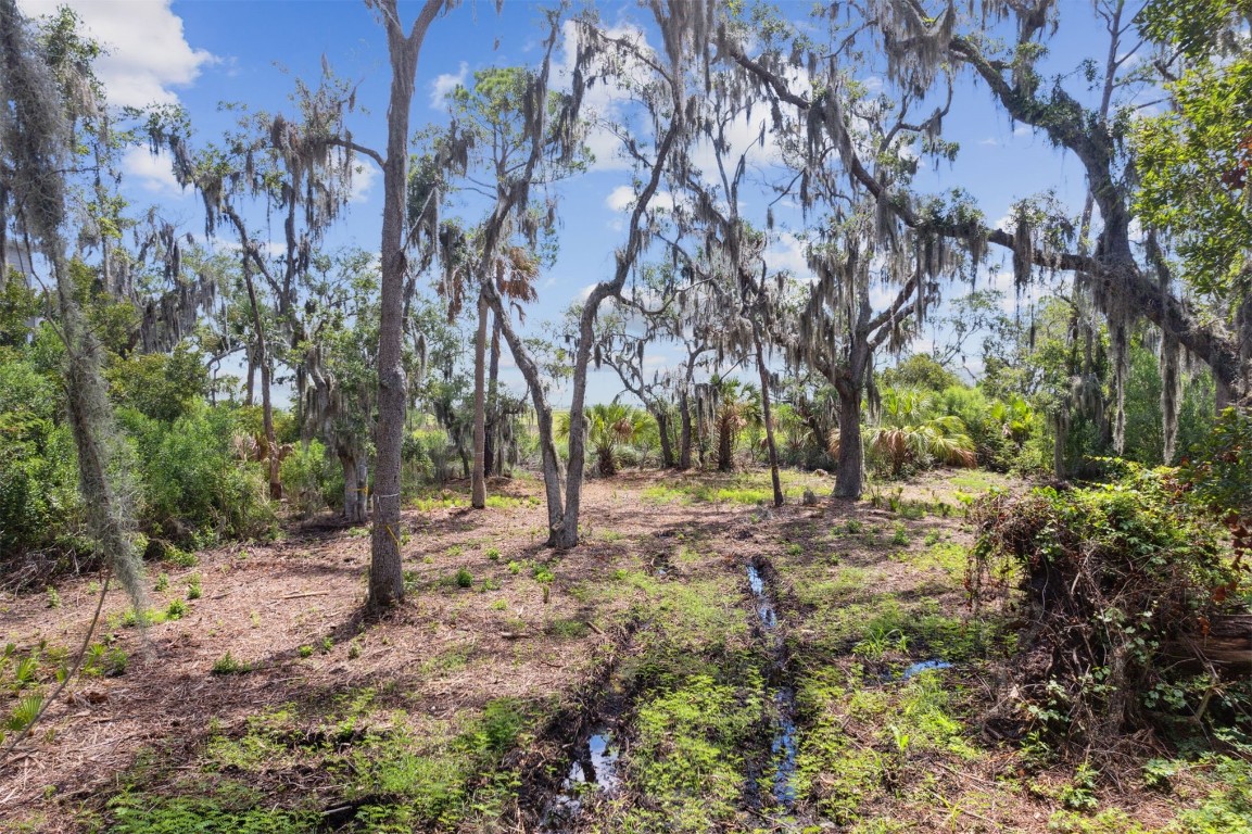 96524 Soap Creek Drive, Fernandina Beach, Florida image 6