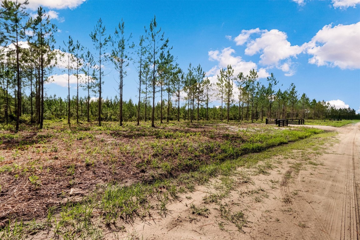 Lot 7 Georgia Street, Hilliard, Florida image 8