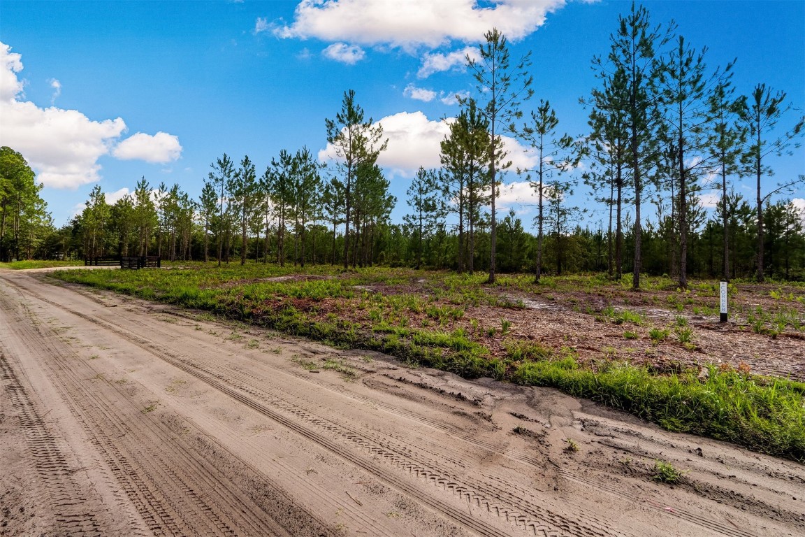 Lot 7 Georgia Street, Hilliard, Florida image 9