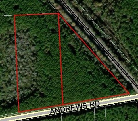 Vacant Land For Sale - 172746 Andrews Road<br/> Hilliard, FL 32046