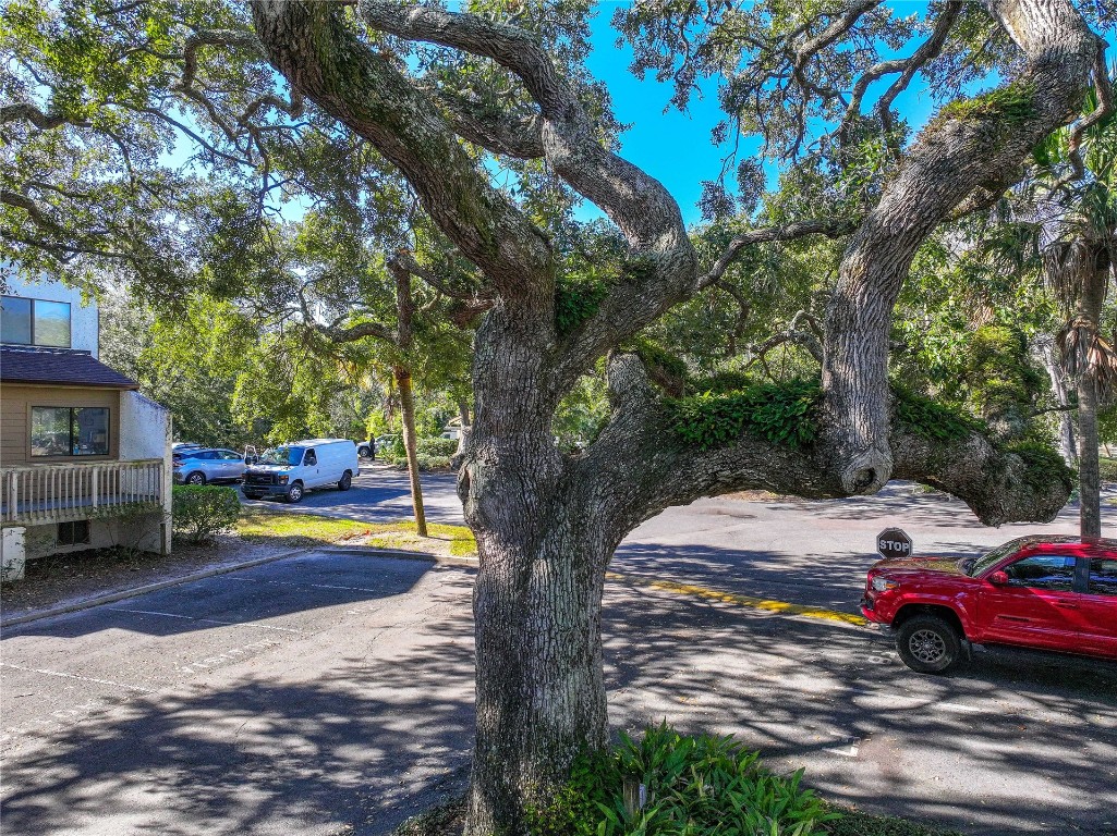 2774 Forest Ridge Drive #F4, Fernandina Beach, Florida image 25