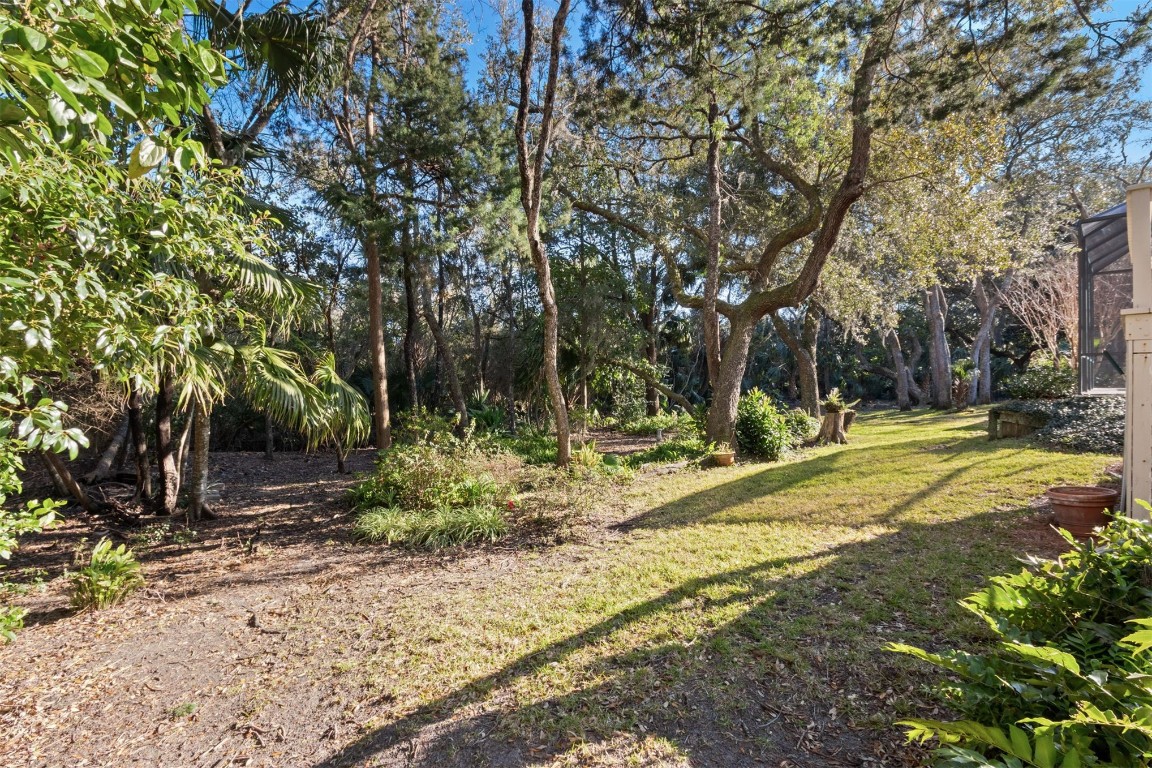 2744 Jean Lafitte Drive, Amelia Island, Florida image 46