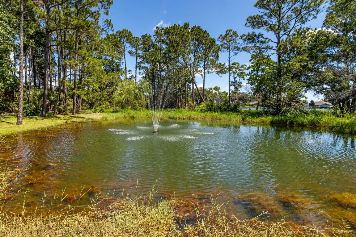 96295 Grande Oaks Lane, Fernandina Beach, New Mexico image 34