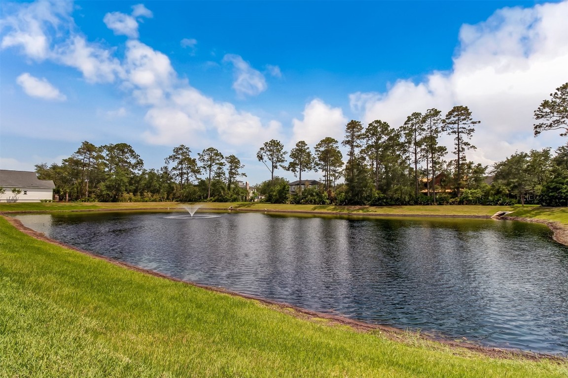 1539 Coastal Oaks Drive, Fernandina Beach, Florida image 39