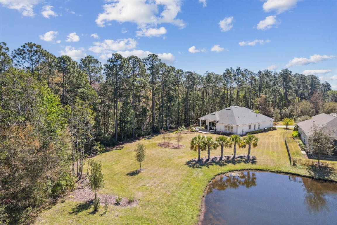 95120 Sugarberry Court, Fernandina Beach, Florida image 48