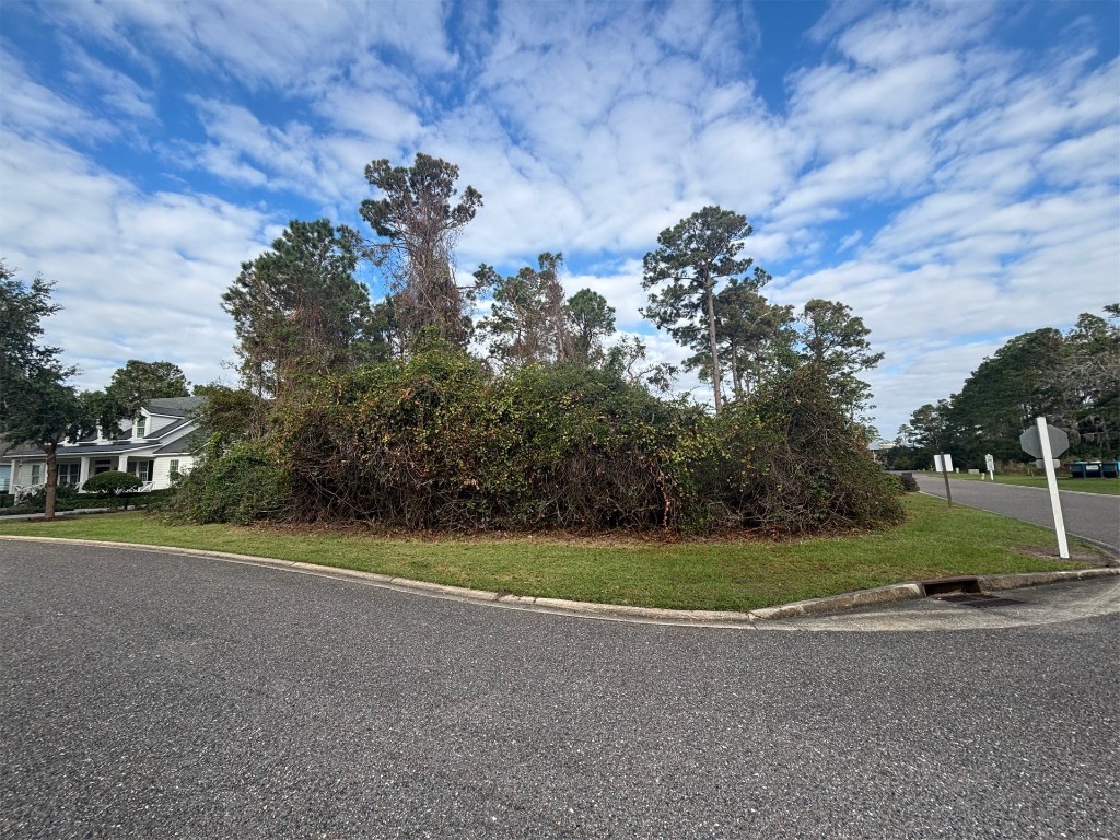 96005 Park Place, Fernandina Beach, Florida image 1