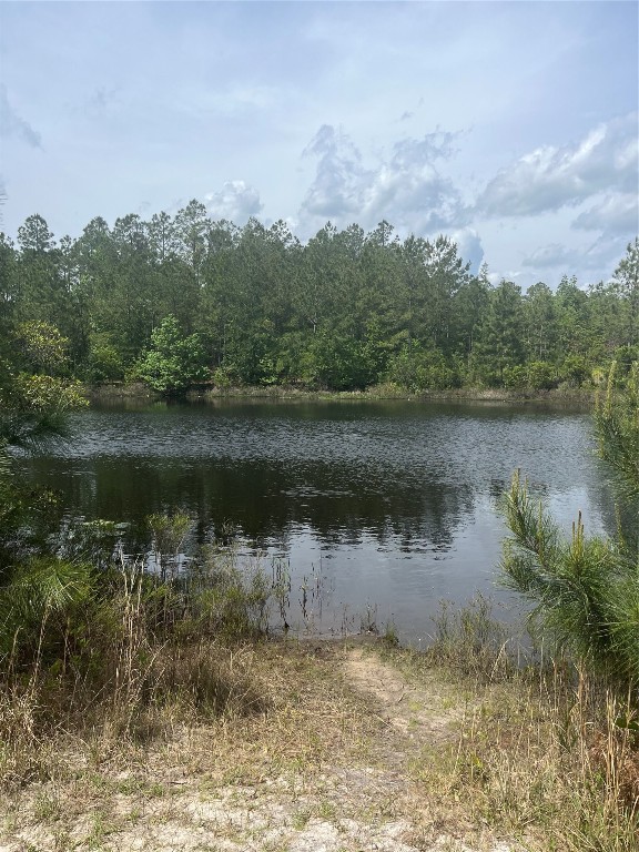 77219 Hance Parkway, Yulee, Florida image 3