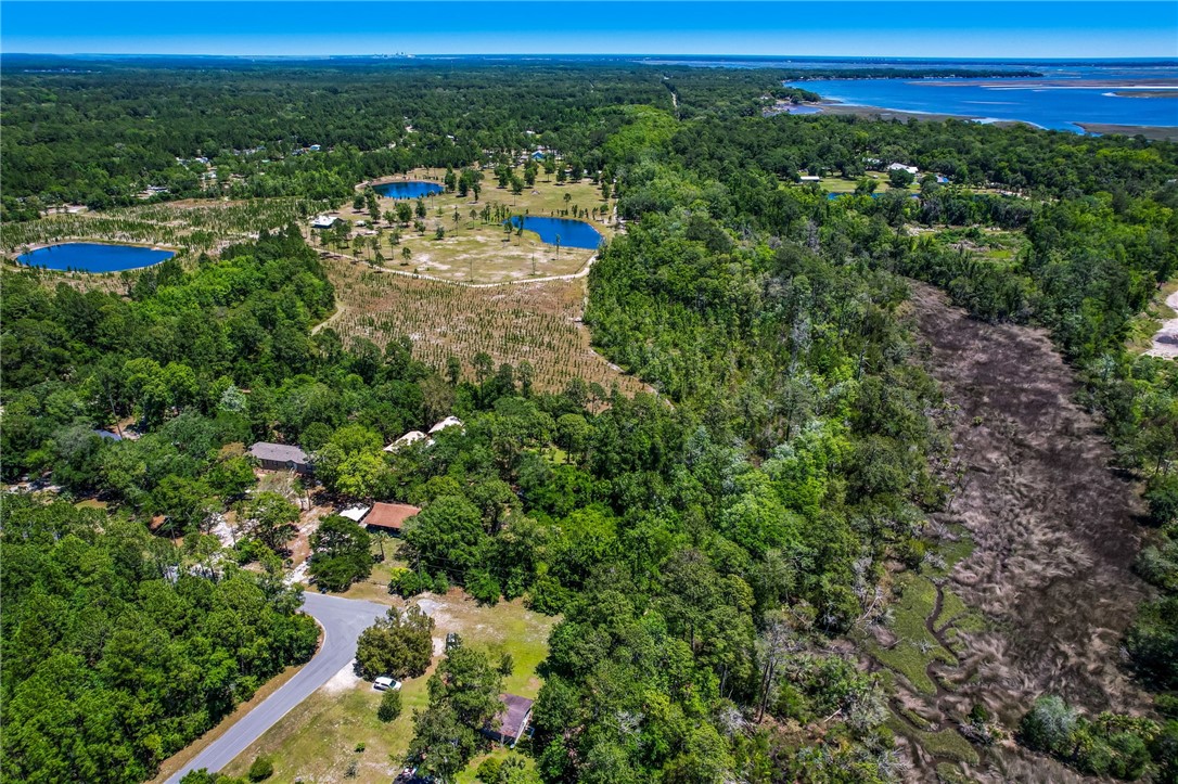 85002 Lonnie Crews Road, Fernandina Beach, Florida image 9