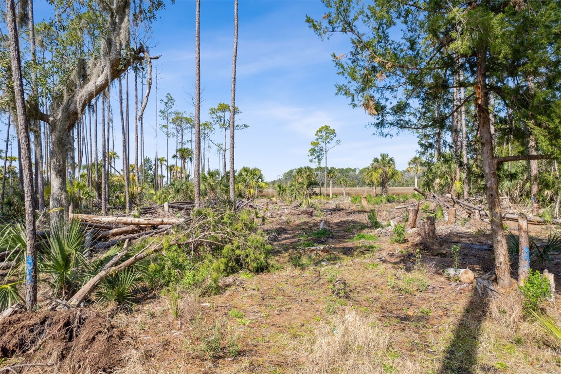 94201 Palm Circle, Fernandina Beach, Florida image 3