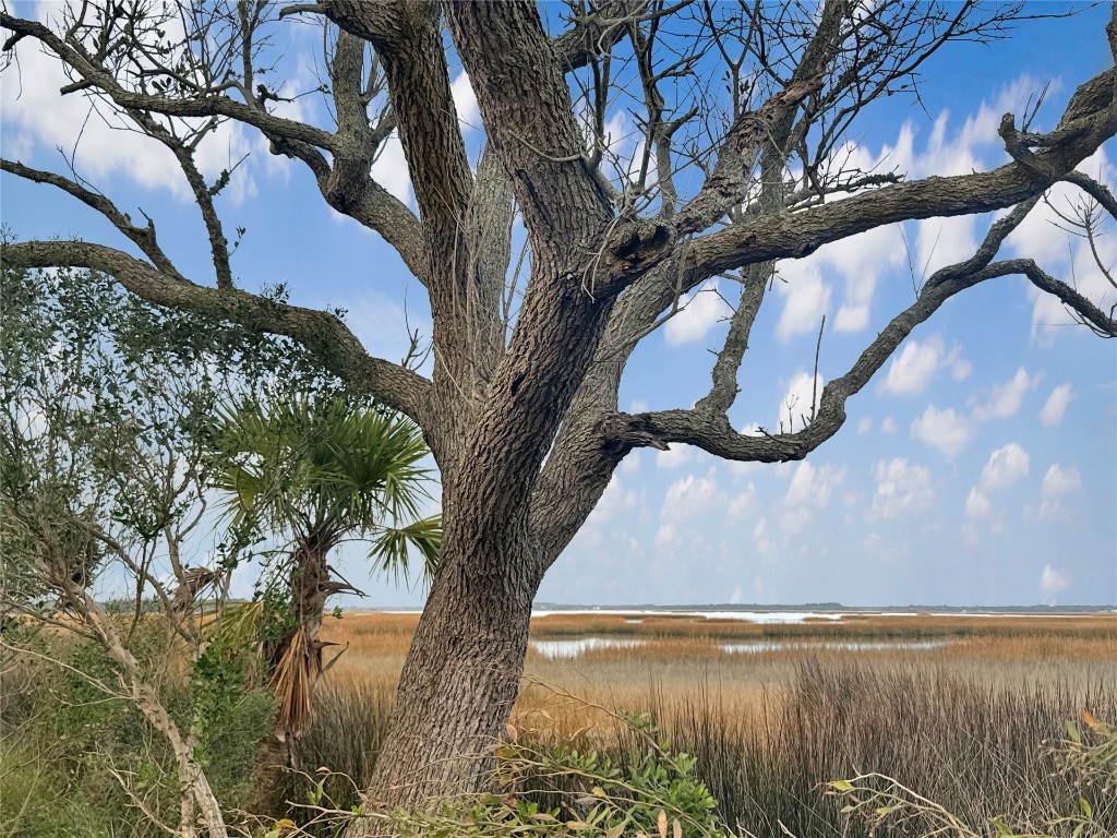 LOT 11 Alligator Creek Road, Fernandina Beach, Florida image 8