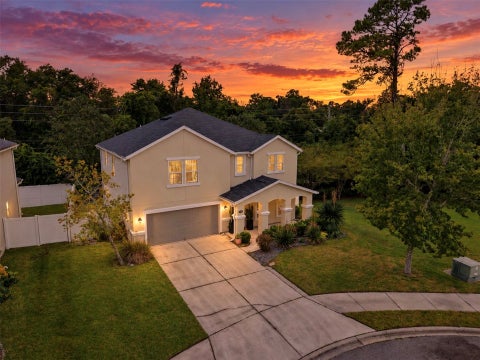 Homes For Sale - 12766 Chandlers Crossing Lane Ln<br/> Jacksonville, FL 32226