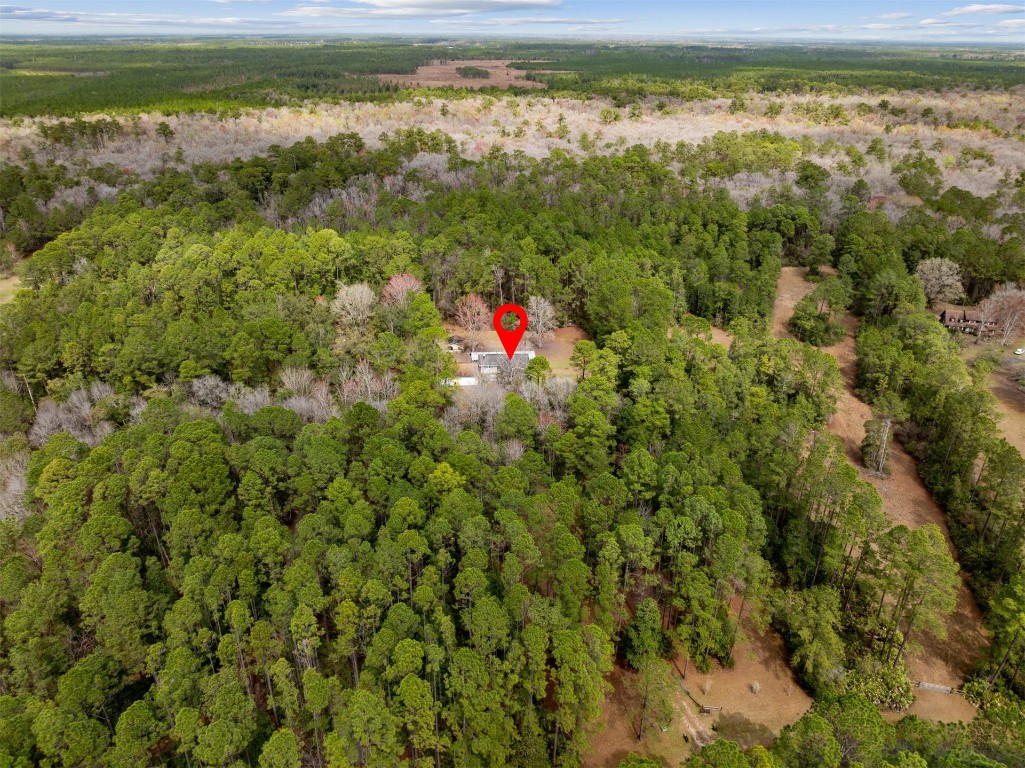 11901 Sunowa Springs Trail, Bryceville, Florida image 38