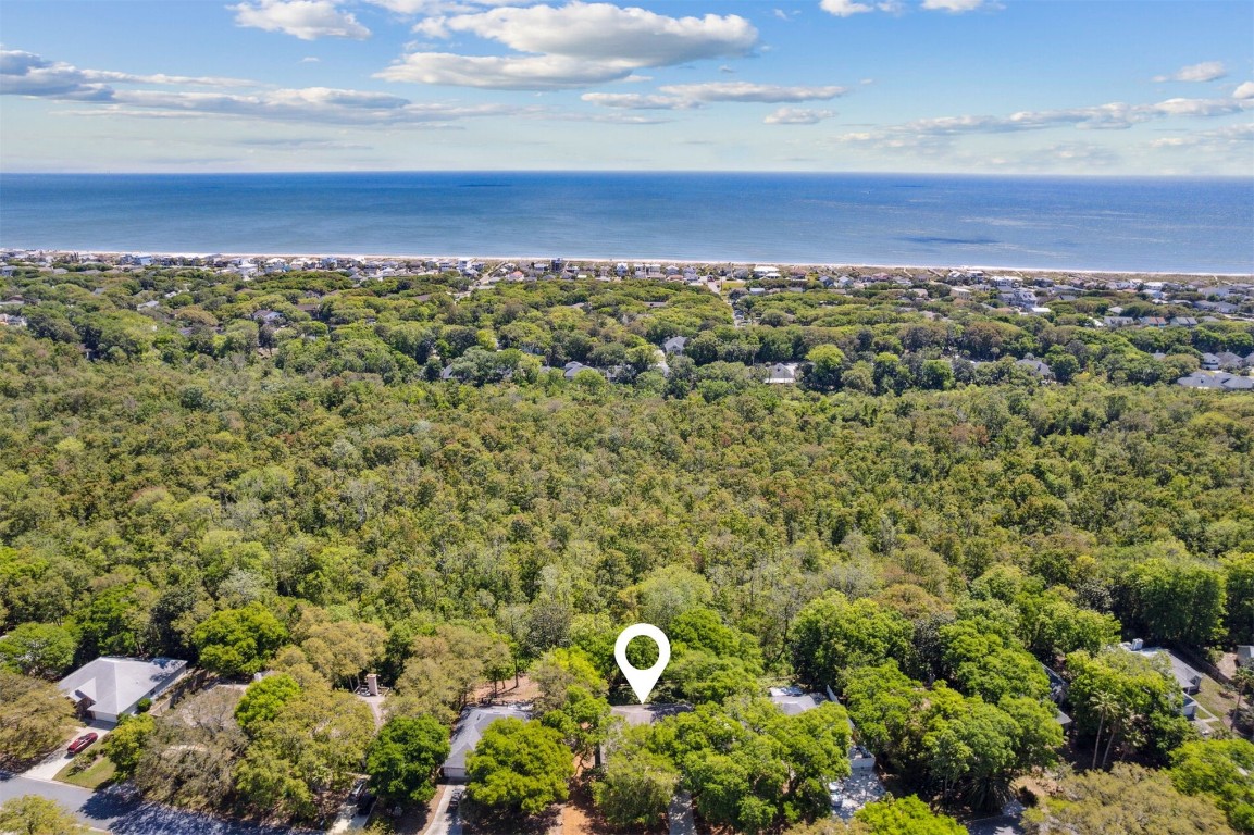 2686 Le Sabre Place, Amelia Island, Florida image 35