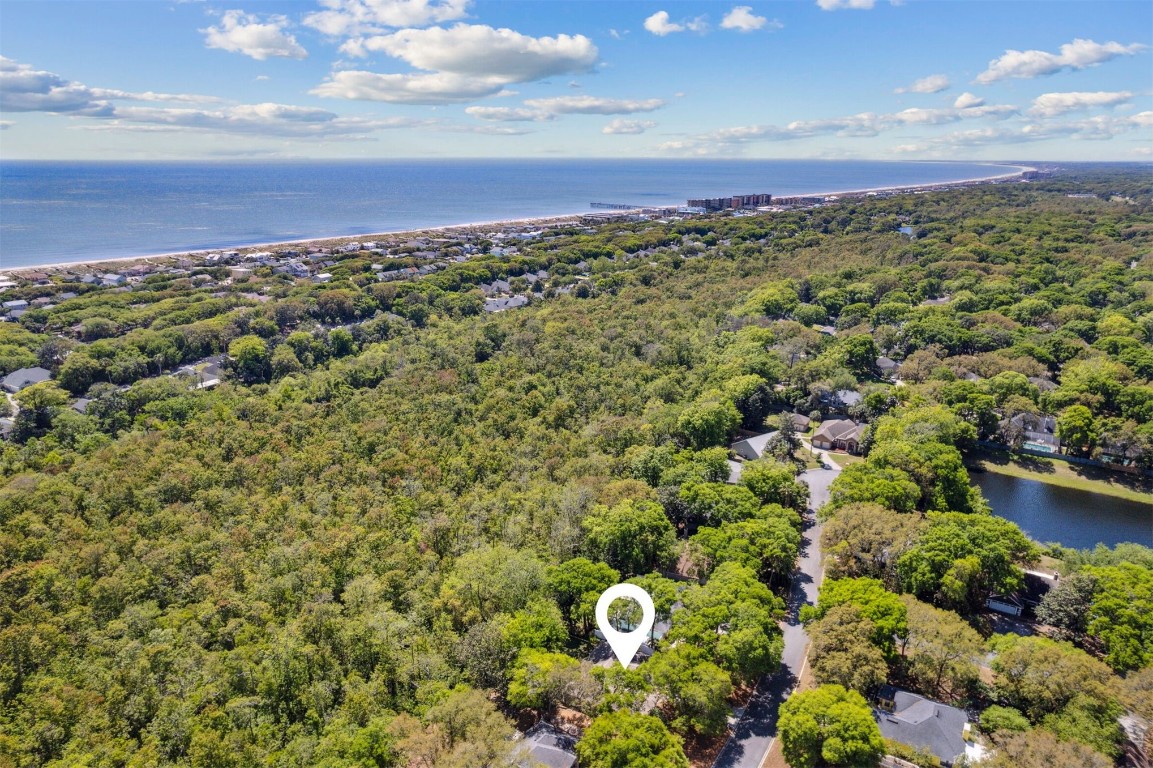 2686 Le Sabre Place, Amelia Island, Florida image 34