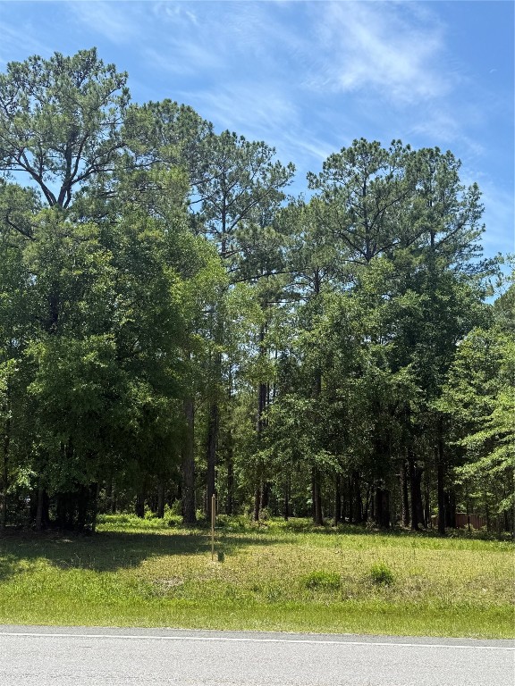 County Road 121, Bryceville, Florida image 3