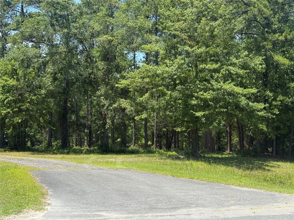 County Road 121, Bryceville, Florida image 2