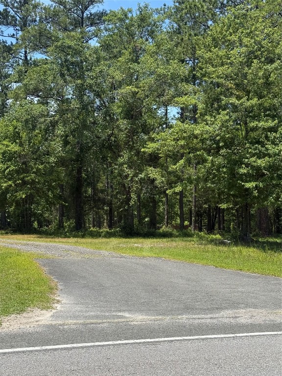 County Road 121, Bryceville, Florida image 1