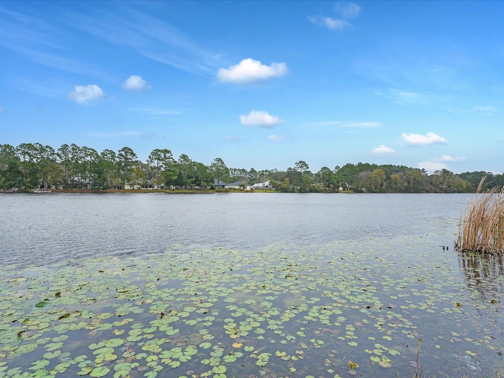 23671 Bahama Point #1211, Fernandina Beach, Florida image 24