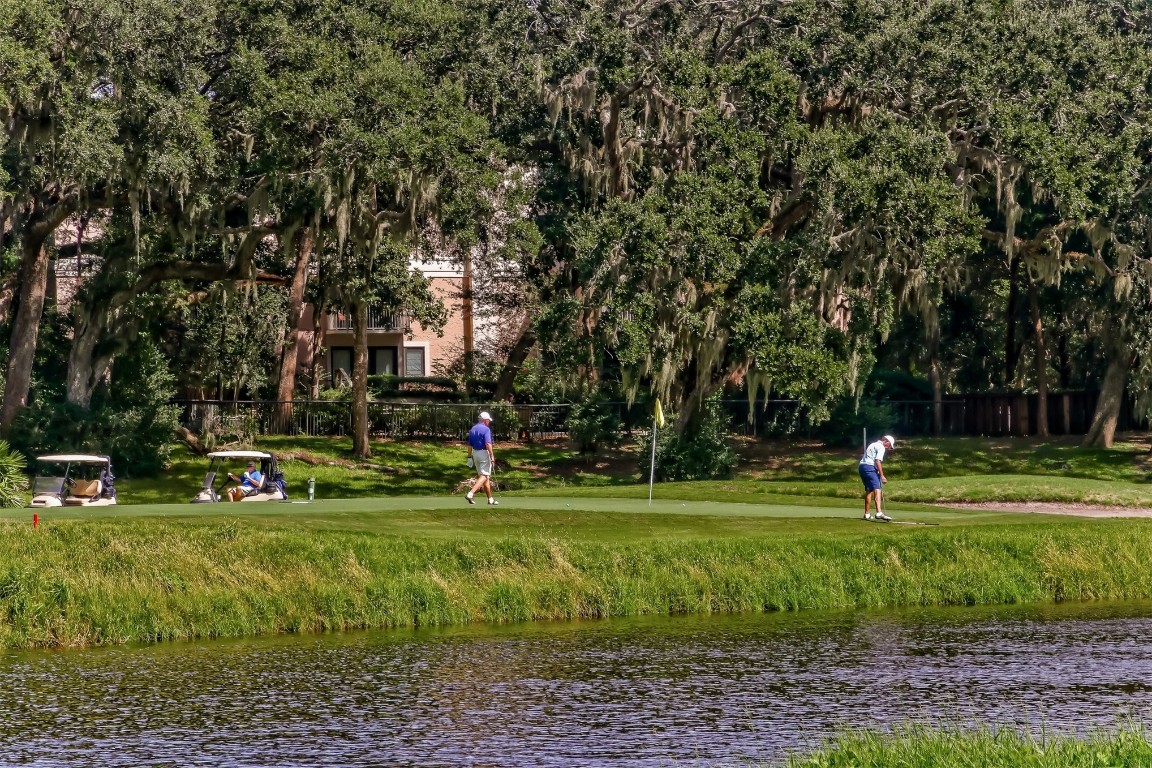 2102 Beach Wood Road #2102, Fernandina Beach, Florida image 49