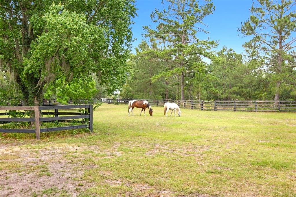 44589 Sandy Ford Road, Callahan, Florida image 4