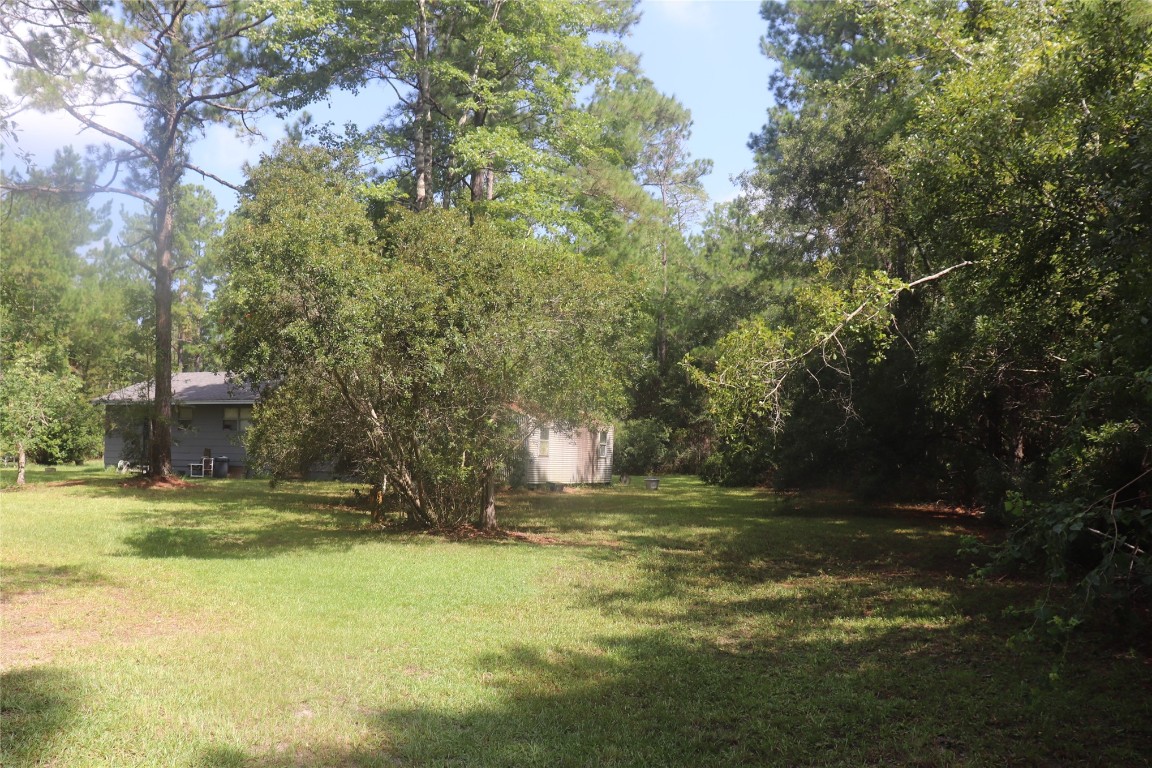 77135 Wonderwood Trail, Yulee, Florida image 7