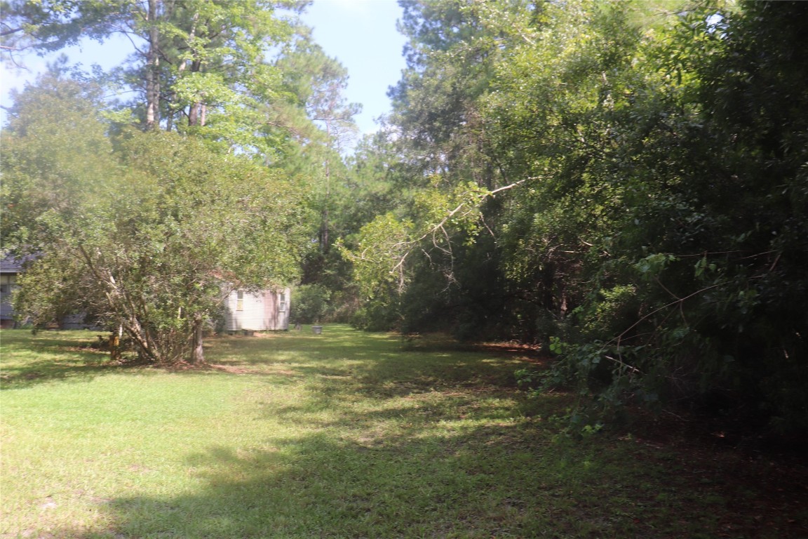 77135 Wonderwood Trail, Yulee, Florida image 8